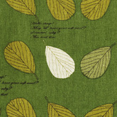 썸네일(스크롤)