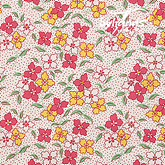 썸네일(스크롤)