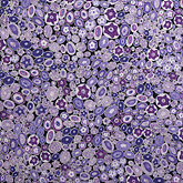 썸네일(스크롤)