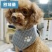 썸네일(스크롤)